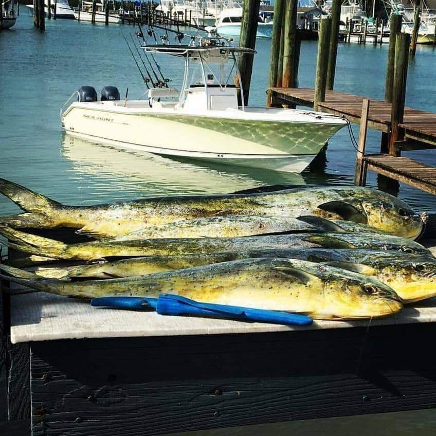 Fort Pierce Fishing Charters Catches